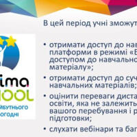 image (21)