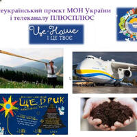 image (13)