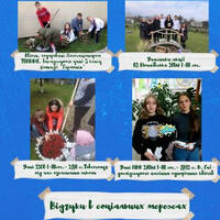 image (6)