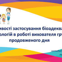 image-(11)