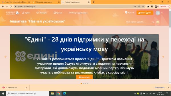 «ЄДИНІ» – масштабний багатокомпонентний проєкт