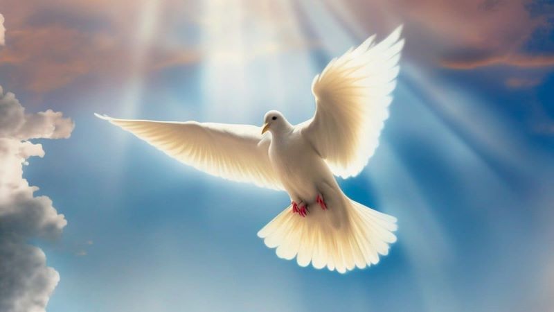 8 червня 2025 року християни відзначають одне із 12 найважливіших свят – Трійцю