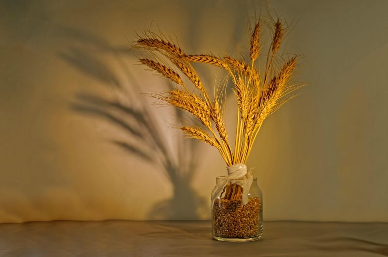 Інформаційні матеріали до 92-х роковин Голодомору 1932–1933 років